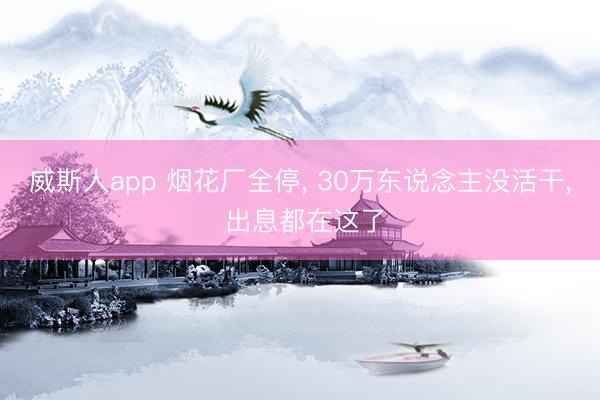 威斯人app 烟花厂全停， 30万东说念主没活干， 出息都在这了